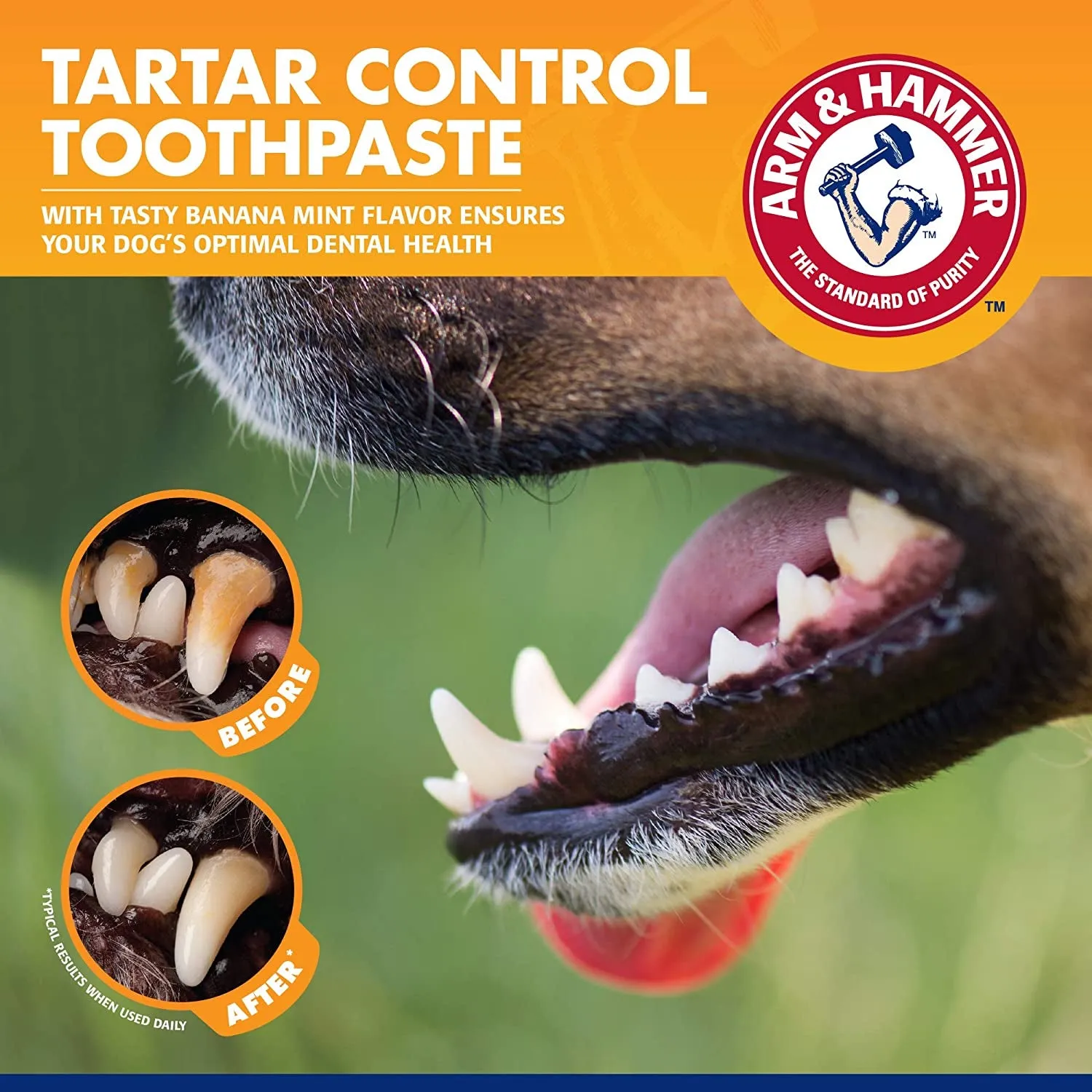 Banana Mint Tartar Control Kit