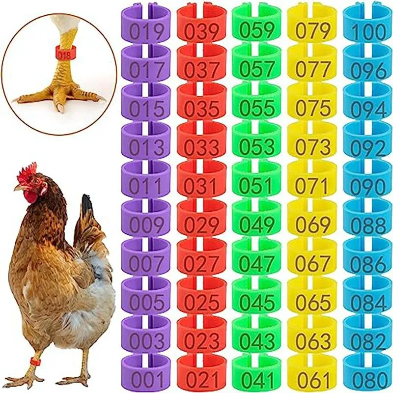 Chicken Leg Rings With Numbered For Ducks Chicks Guinea Pigeons Goose