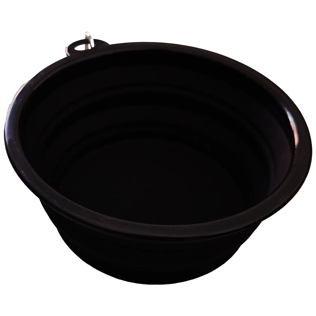 Collapsible Travel Water & Food Bowl