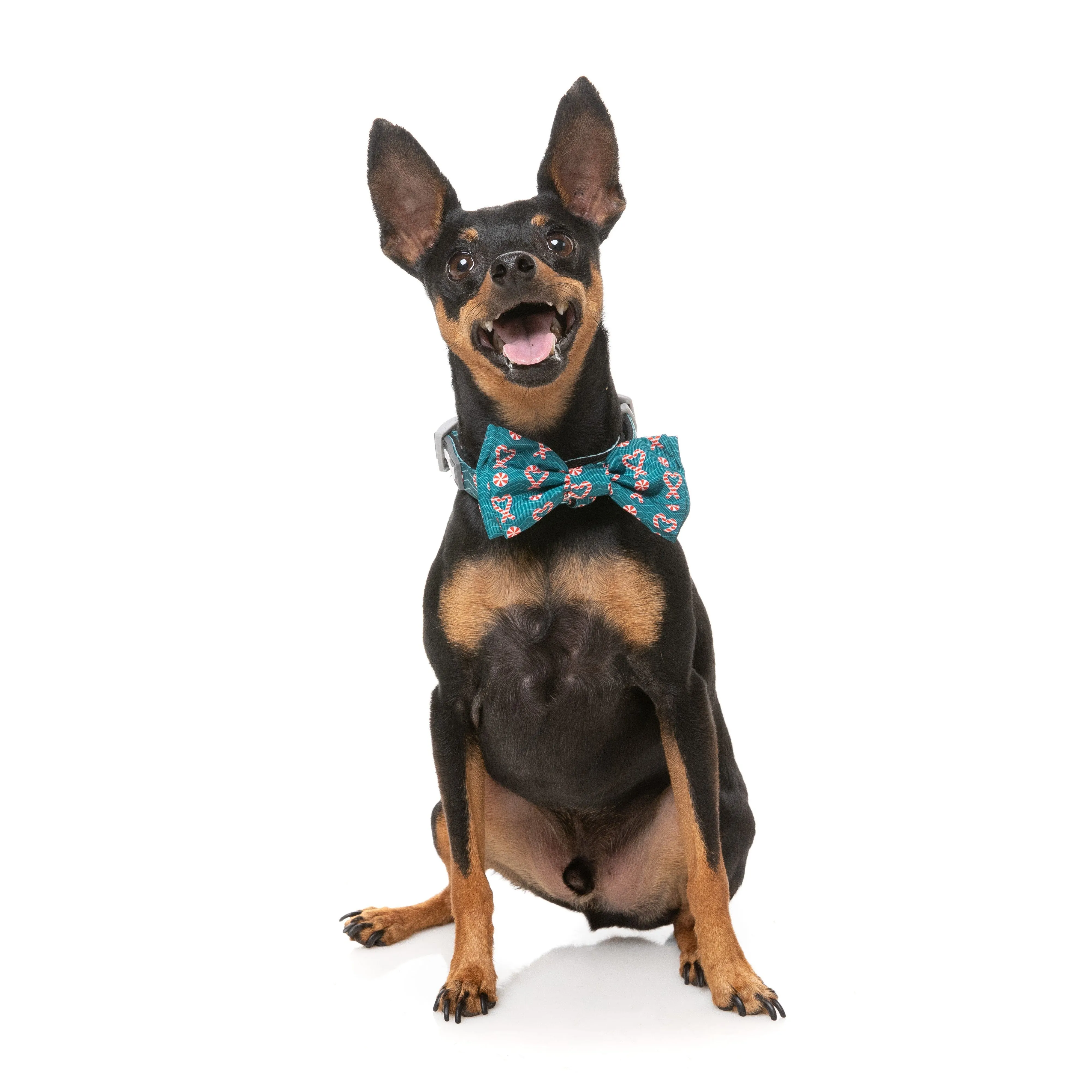 FuzzYard Christmas I Heart Candy Canes Dog Bandana and Bow Tie Set Medium to Large