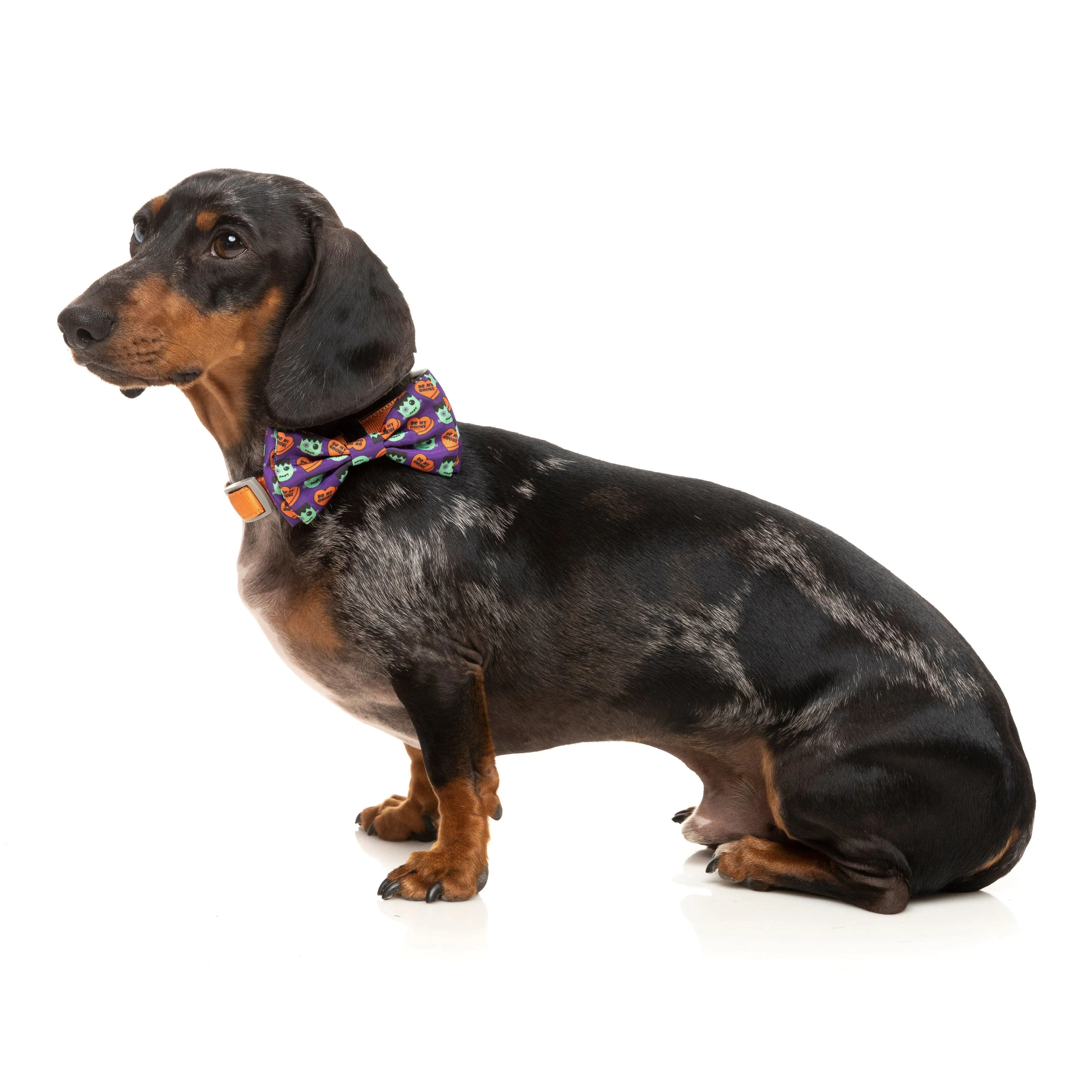 FuzzYard Halloween Be My Ghoul Dog and Cat Bowtie Small***