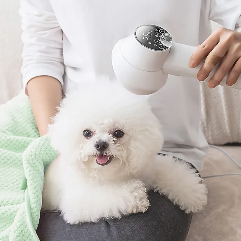 HOT SALE Low Noise Pet Hair Dryer with Slicker Brush