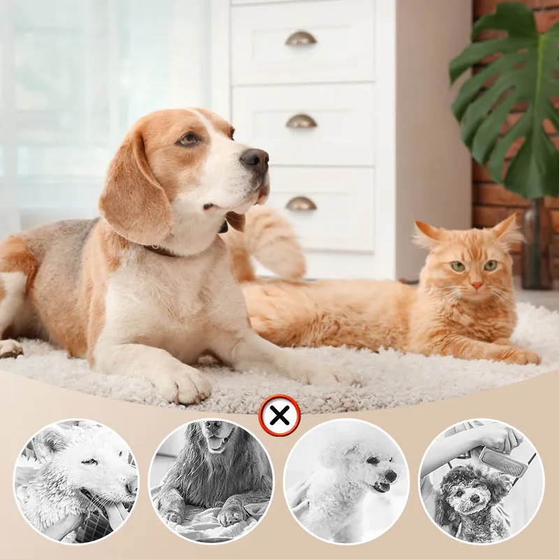 HOT SALE Low Noise Pet Hair Dryer with Slicker Brush