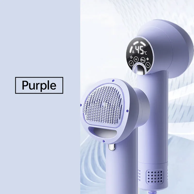HOT SALE Low Noise Pet Hair Dryer with Slicker Brush