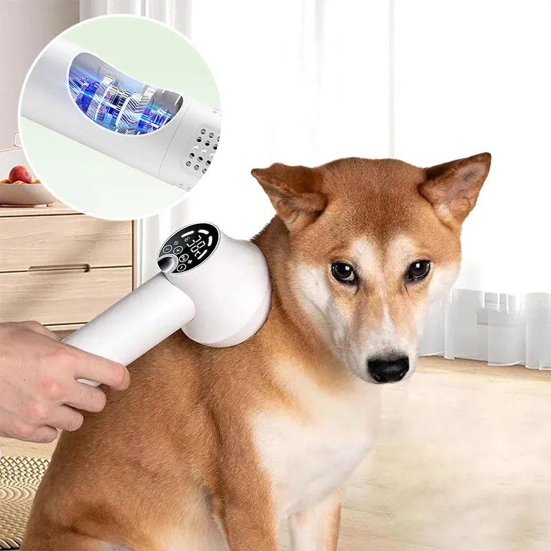 HOT SALE Low Noise Pet Hair Dryer with Slicker Brush