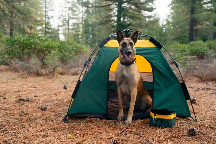 P.L.A.Y - Landscape Series Travel Bowl (For Dogs)