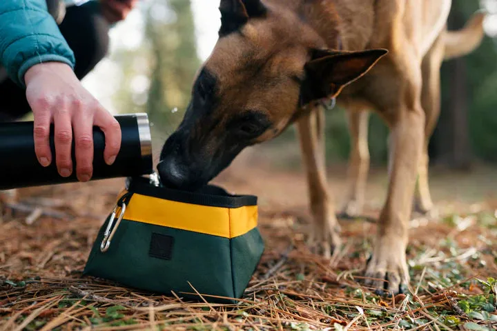 P.L.A.Y - Landscape Series Travel Bowl (For Dogs)