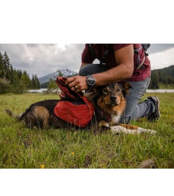 Ruffwear Quencher™ Collapsible Food & Water (Huckleberry Blue) Dog Bowl