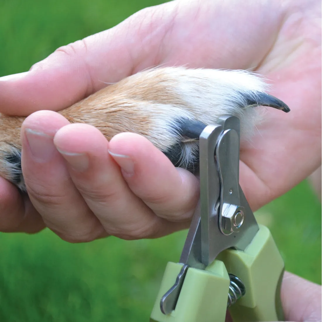 Safari Nail Trimmer M/L